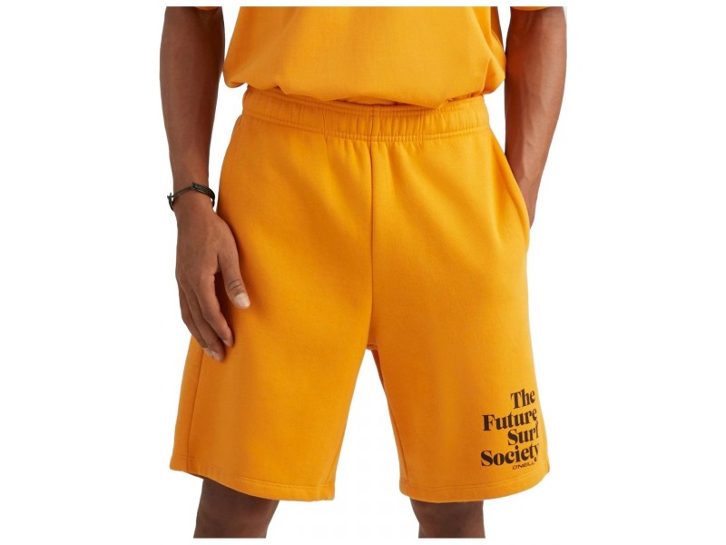 O'Neill Future Surf Short férfi rövidnadrág