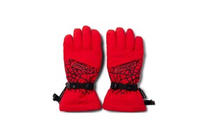 Spyder Overweb Gtx Gloves  D