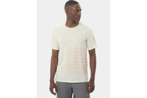 Salomon Sense Aero Graphic D férfi sport póló - 600ic icicle