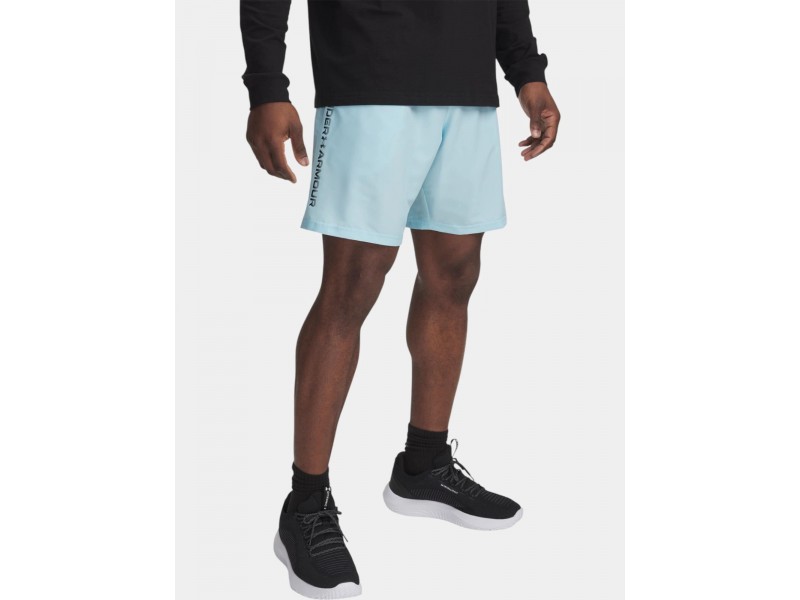 Under Armour UA Tech Woven Short (494 Stream)