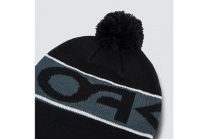 Oakley Factory Cuff Beanie fekete sapka