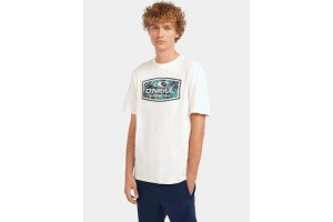 O'Neill férfi Graphic T-Shirt - 11010 Snow White