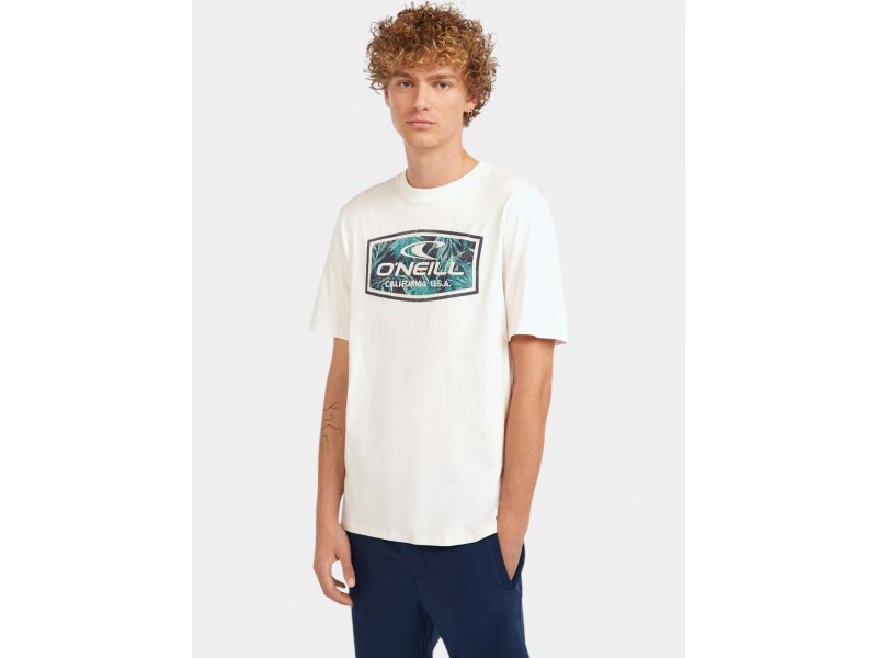 O'Neill férfi Graphic T-Shirt - 11010 Snow White