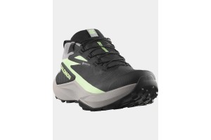 Salomon Genesis GTX W női terepfutó cipő - fekete/gull/patina green