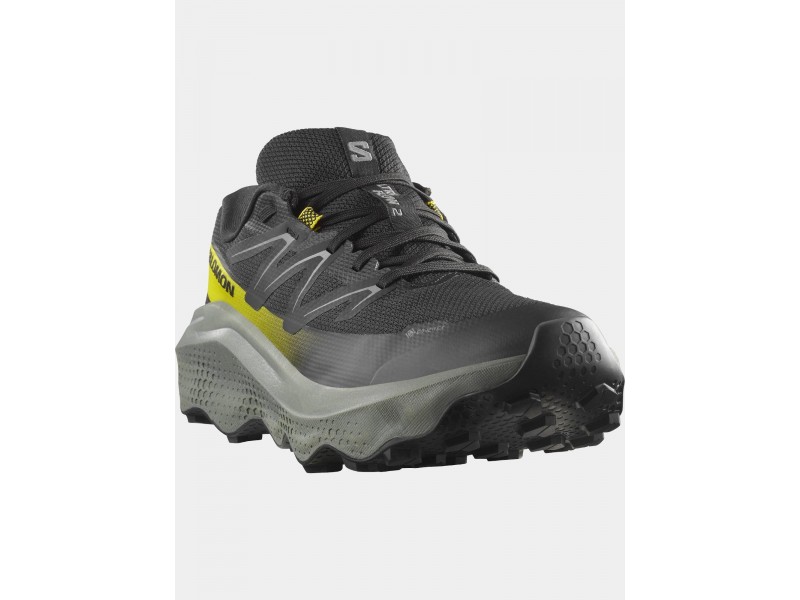 Salomon Ultra Flow 2 GTX D - férfi terepfutó cipő