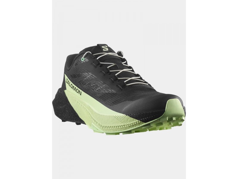 Salomon Pulsar D férfi terepfutó cipő - fekete/patina green