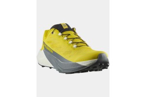 Salomon Pulsar D - 200iv incaberry / vanilla ice / sedona