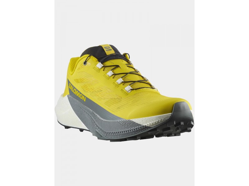 Salomon Pulsar D - 200iv incaberry / vanilla ice / sedona