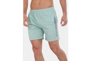 Fundango Bono II Boardshorts - 524-mint