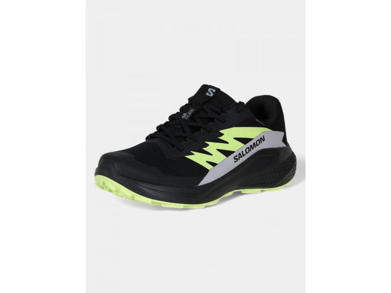 Salomon Alphaglide GTX D fekete férfi futócipő