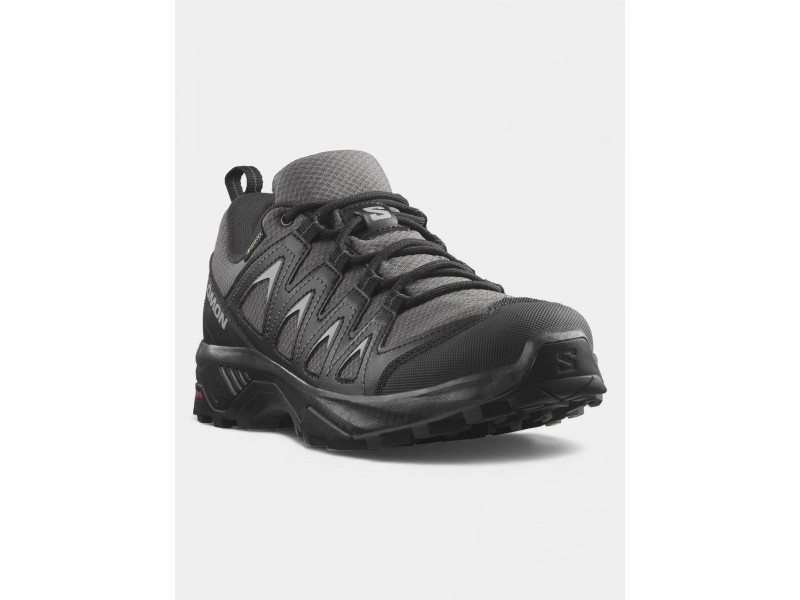 Salomon X Braze GTX W - magnet/black
