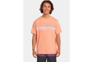 O'Neill Logo Stripe férfi póló — csíkos design