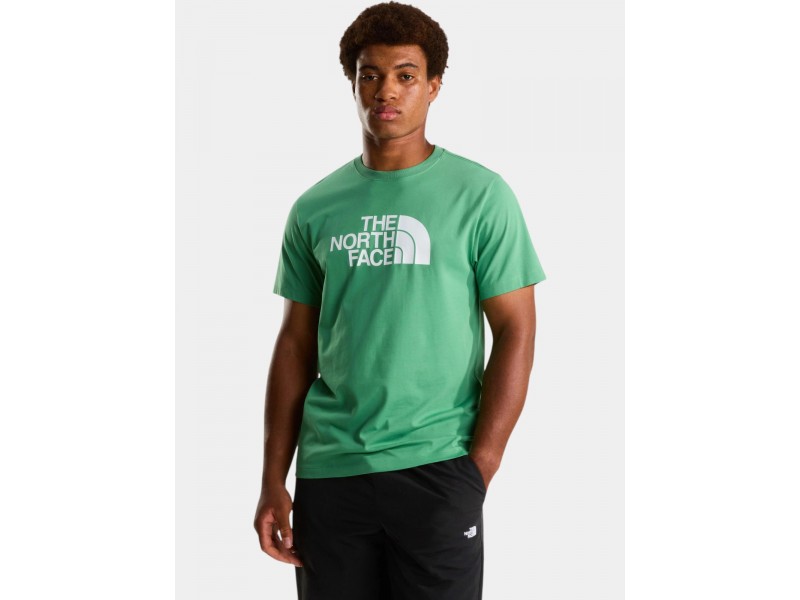 The North Face M Evolution Half Dome férfi póló