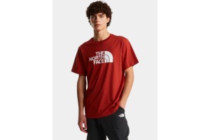 The North Face M Evolution Half Dome póló