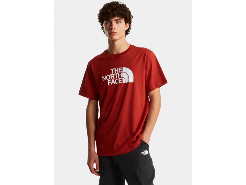 The North Face M Evolution Half Dome póló