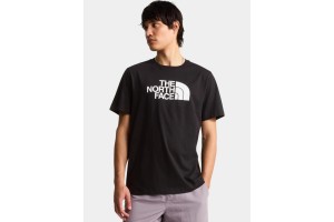 The North Face M Evolution Half Dome póló - elöl