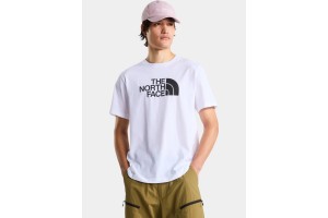 The North Face M Evolution Half Dome póló