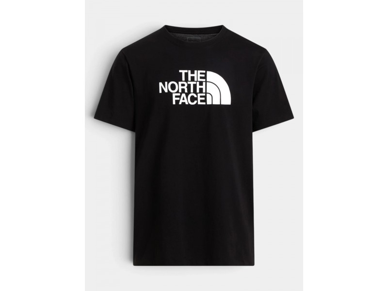 The North Face M Evolution Half Dome férfi póló