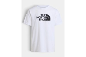 The North Face M Evolution Half Dome férfi póló