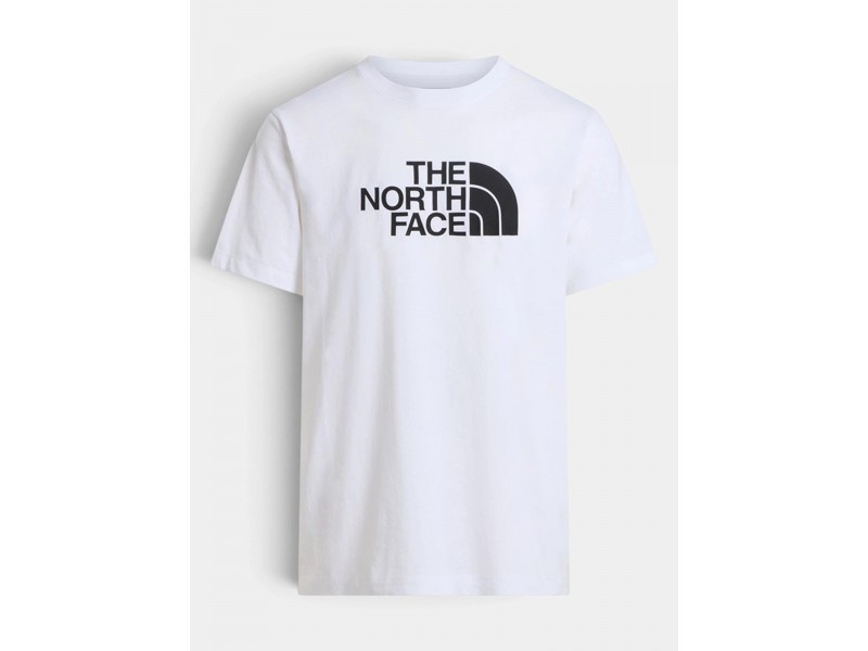 The North Face M Evolution Half Dome férfi póló