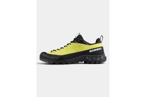 Mammut Alnasca IV Low LTH D