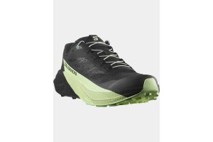 Salomon PuLSar D