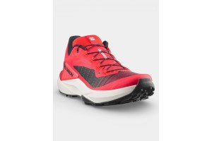 Salomon Genesis Fiery D